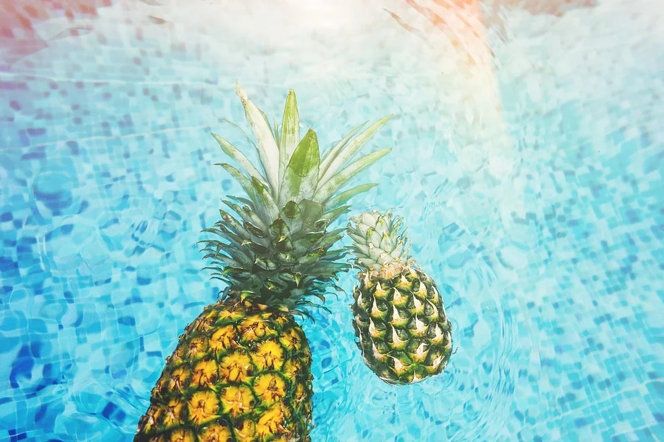 Ananas plovoucí v bazénu